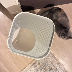 モデキャット リターボックス 猫用トイレ　世界的なデザイン賞を受賞 Modkatの画像