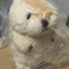 均一価格⭐️マーモットのぬいぐるみ⭐️ おまとめはがんがんお値引き！！の画像