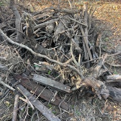 木材 薪材🪵 樹の根子　の画像