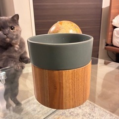 &cat フード&ウォーターボウルセットの画像