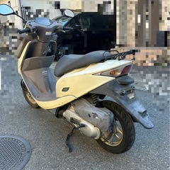 すぐ乗れる！ホンダ チェスタ50cc｜買い物最強モデルの画像