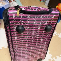 カバン兼スーツケースの画像