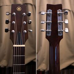 YAMAHA FG-120F 1974年 希少モデルの画像