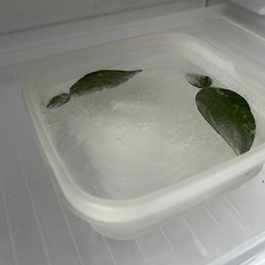 Panasonic 冷凍庫の画像