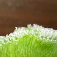 白菜のおくるみ　帽子つきの画像