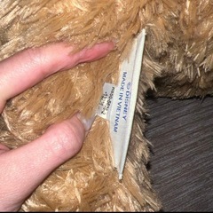 ダッフィー　ぬいぐるみM 旧Lサイズ　TDSの画像