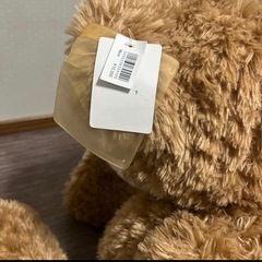 ダッフィー　ぬいぐるみM 旧Lサイズ　TDSの画像