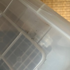 収納ケース無料での画像