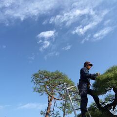 庭師になりたい方！造園業に興味がある方！造園業経験のある方！募集しております！の画像