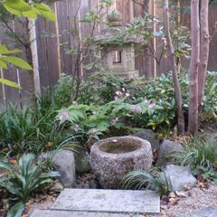 庭師になりたい方！造園業に興味がある方！造園業経験のある方！募集しております！の画像