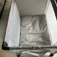 ベイビーベットの画像