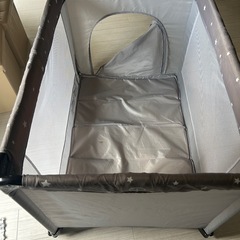 ベイビーベットの画像