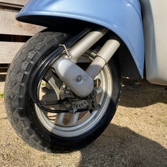 ☆ ★ ジョルノ ★ ☆の画像