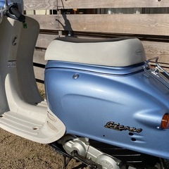 ☆ ★ ジョルノ ★ ☆の画像