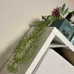 【12/17までのお渡し】インテリア、飾りの画像