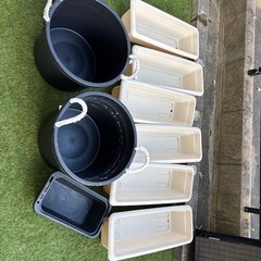 メダカ飼育容器の画像