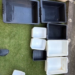 メダカ飼育容器の画像