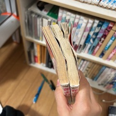 漫画　花より団子　全巻の画像