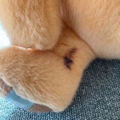 プーさんの画像