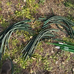 園芸支柱の画像