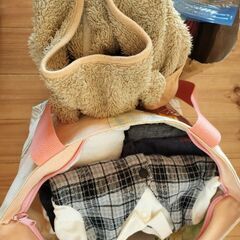 ISOFIXチャイルドシート　おまけたくさんの画像