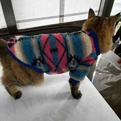 ペット用フリース　犬猫用の画像