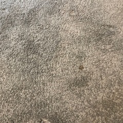 IKEA カーペットの画像