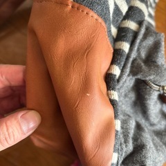 アネロ　リュックの画像