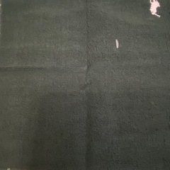 POLO RALPH LAURENハンカチ綿100%の画像