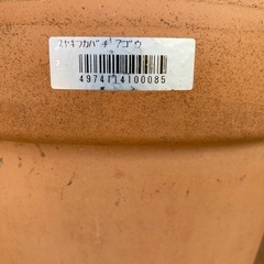 園芸４点セットの画像