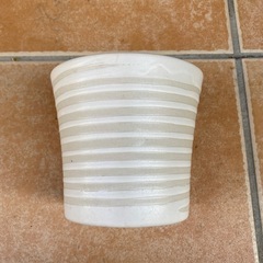 園芸４点セットの画像