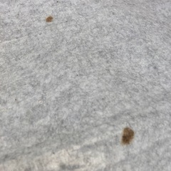 ホットカーペットの画像