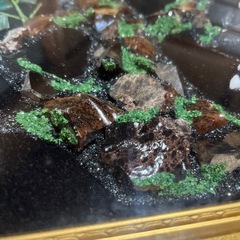 貴石画 額縁入り　花鳥図　 貴石アート    天然石　鉱石　珊瑚　オパール　瑪瑙　翡翠の画像