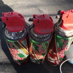 (決定)殺虫剤セットの画像