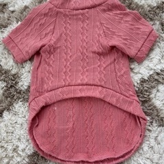 わんちゃん、ねこちゃんペット服ニット新品未使用の画像
