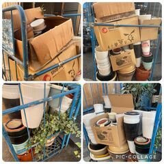 植木鉢　大量　まとめ取引優先。　写真で内容確認。　＃１の画像
