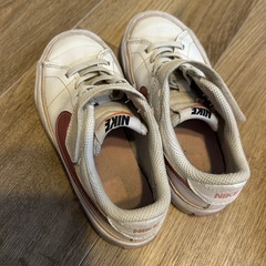 スニーカーと長靴17cmの画像