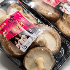 秋田県八峰町 急募!!【主婦さん活躍中】1日2〜4時間でOK！椎茸の収穫・パック詰めスタッフ募集◎未経験OK／急なお休み対応◎／12月からお仕事可能の画像