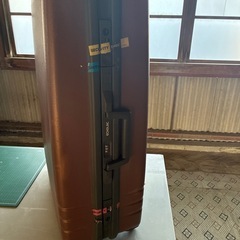 echolac キャリーケース(カギなし)の画像