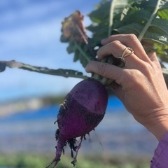 【天竜二俣】どんつきヨガ、毎週金曜10:00開催中♪の画像