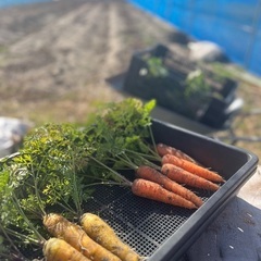 【天竜二俣】どんつきヨガ、毎週金曜10:00開催中♪の画像