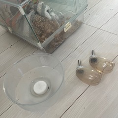 ハムスターケージ、他各種の画像