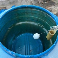 特大 貯水タンク ガーディニング　 家庭菜園 などにの画像