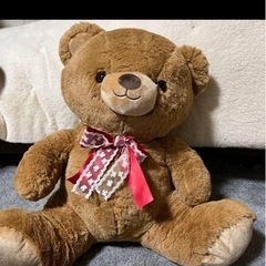 くま　ぬいぐるみの画像