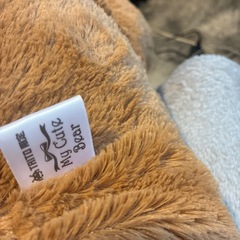 くま　ぬいぐるみの画像