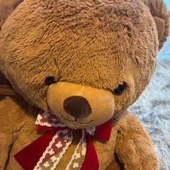 くま　ぬいぐるみの画像