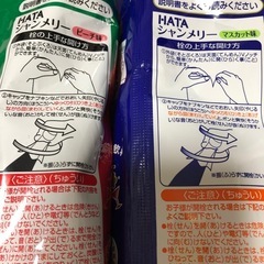 HATA シャンメリーの画像