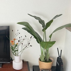 引取者決定　フェイクグリーン　の画像