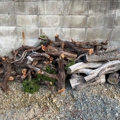 焚き木の画像