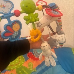 ベビー用ゆらゆらバウンサー／布張り替え可・5年使用・無料でお譲りします】の画像